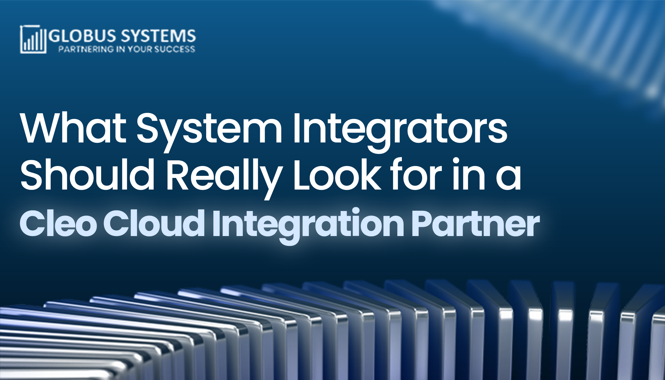 EDI Cleo Cloud Integration Partner